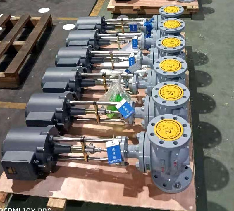 Electric Single-Seat Control Valve